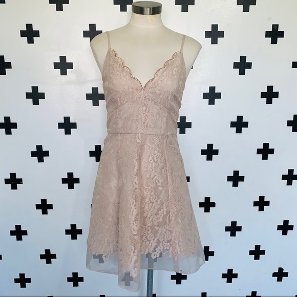 Keepsake Sundream blush Lace Dress - Picture 4 of 12